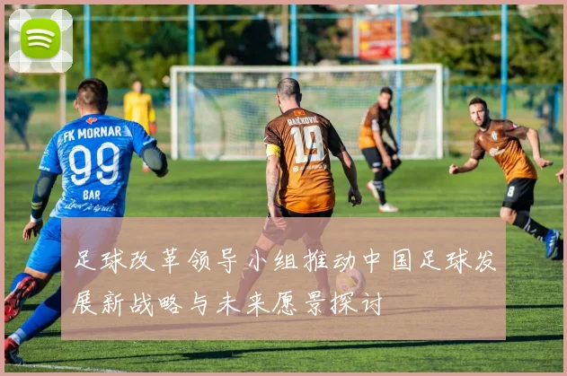 足球改革领导小组推动中国足球发展新战略与未来愿景探讨