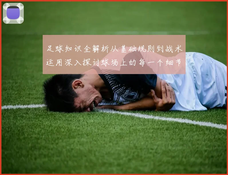 足球知识全解析从基础规则到战术运用深入探讨球场上的每一个细节