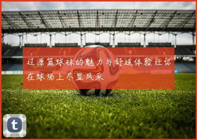 辽源篮球袜的魅力与舒适体验让你在球场上尽显风采